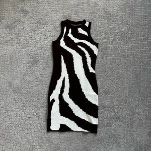 Animal Print Body Con Knit Dress